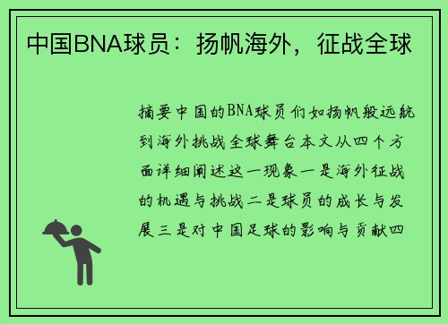 中国BNA球员：扬帆海外，征战全球
